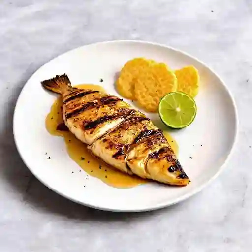 TRUCHA AIRES DE PEÑA BLANCA