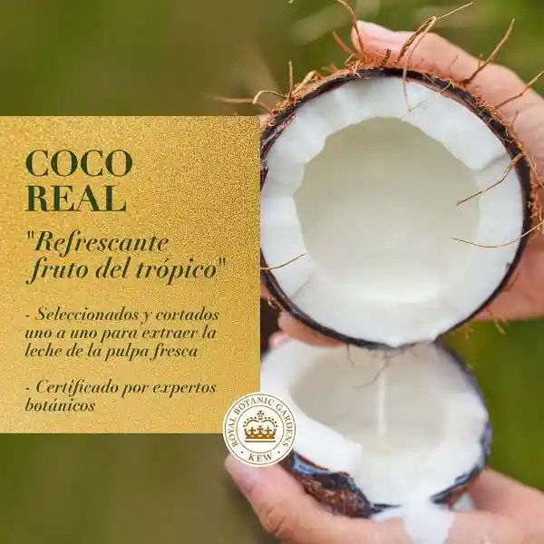 Mascarilla Intensiva Herbal Essences Leche de Coco y Aloe 300 ml