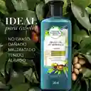 Shampoo Herbal Essences Bio:Renew Aceite de Argan de Marruecos Champu 245 ml