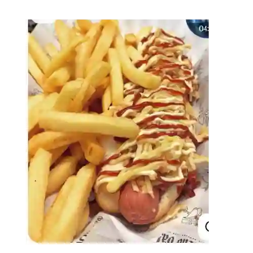 Perro Especial