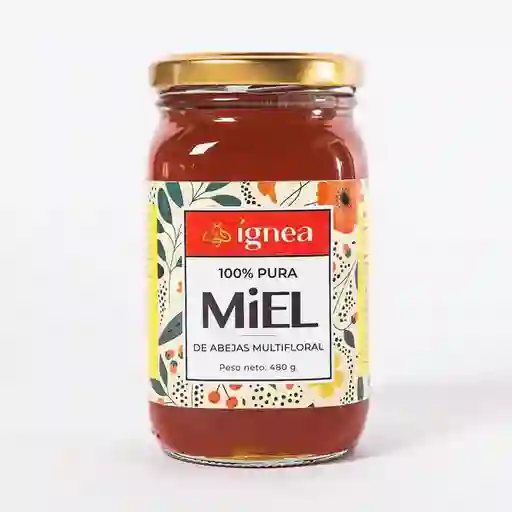 Ígnea Miel de Abejas 100% Pura