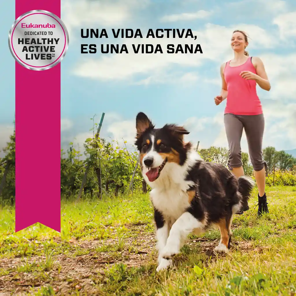 Eukanuba Alimento Para Perro Adulto Raza Mediana Cordero 15 Lb