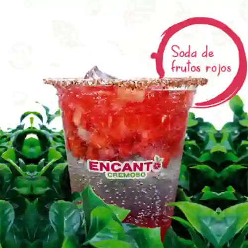 Soda de Frutos Rojos