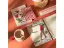 Set Libretas Espiral 11 x 16 Casaideas