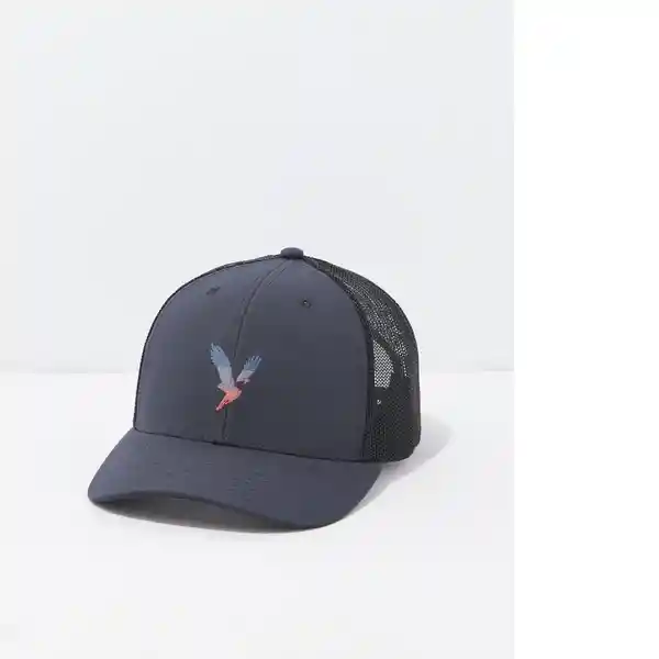 Gorra Hombre Azul Medio Talla One Size American Eagle
