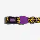 Zee.Dog Collar Para Perro Honey XS