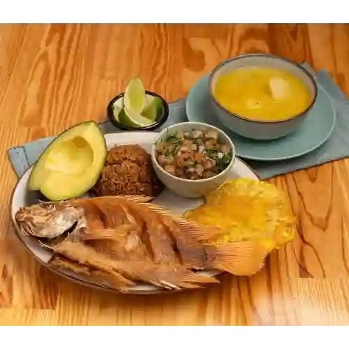 Tilapia