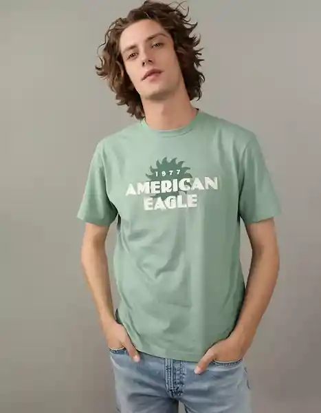 Camiseta Hombre Verde Talla Medium American Eagle 01813685