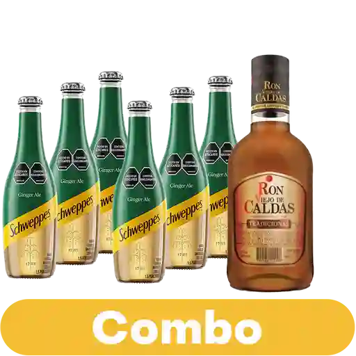 Combo Gaseosa Schweppes Ginger 300 mL 6 Unds + Ron