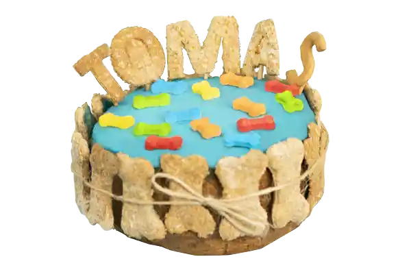 Crearpet Torta la Fiesta de Tomás Unipet