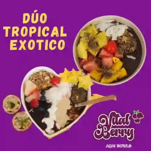 Combo Tropical Exotico Mediano