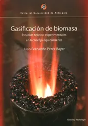 Gasificación de Biomasa Estudios Teórico - Juan Fernando Pérez