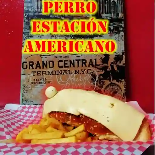 Perro estacion americano
