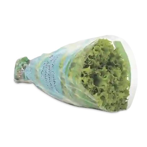 Makro Lechuga Verde Crespa Hidropónica