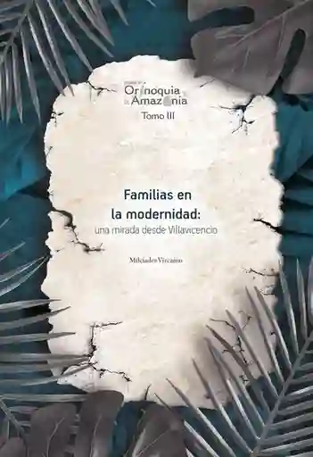 Familias en la Modernidad: Una Mirada Desde Villavicencio