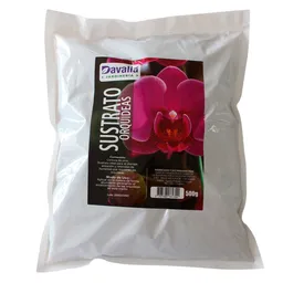 Davalia Sustrato Orquídea