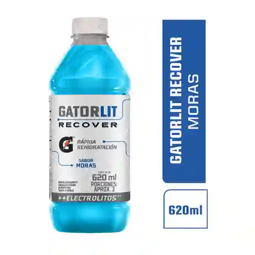 Hidratante Gatorlit Mora 620 ml pet 