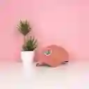 Gorra de Béisbol Romantic Sea Rosa Miniso