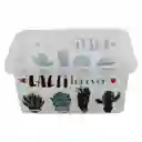 Great Plastic Caja Organizadora 4354 Cactus 8 L