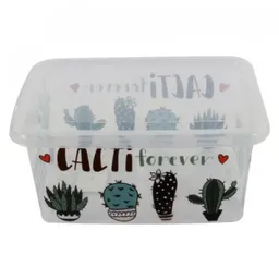 Great Plastic Caja Organizadora 4354 Cactus 8 L