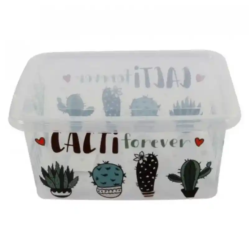 Great Plastic Caja Organizadora 4354 Cactus 8 L