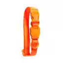 Zeedog Collar Para Perro Neopro Tangerine Talla L