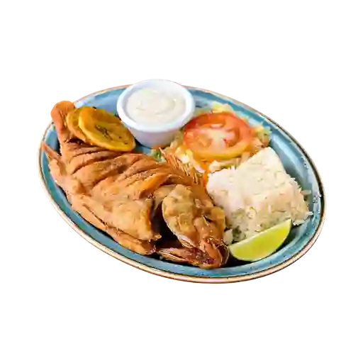 Tilapia