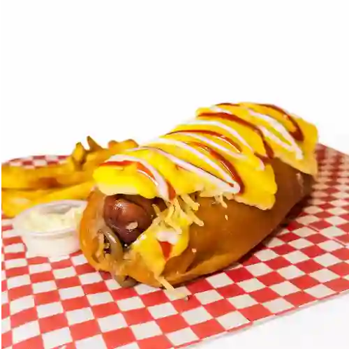 Perro Clásico de la Casa