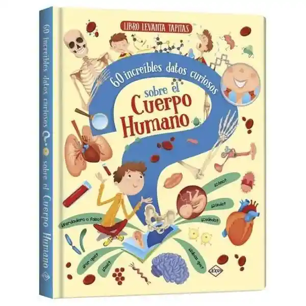 Levanta Tapitas Cuerpo Humano