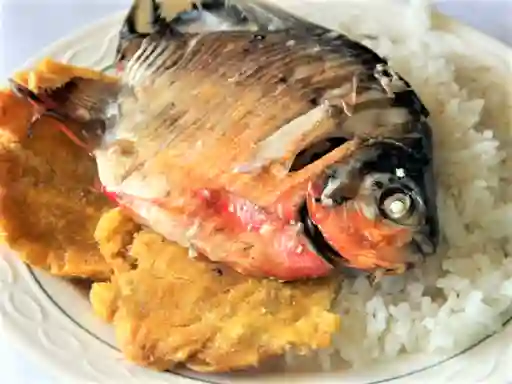 Cachama Frita