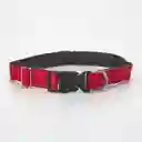 Clark Collar Para Perro Talla L 19 mm Rojo 40254