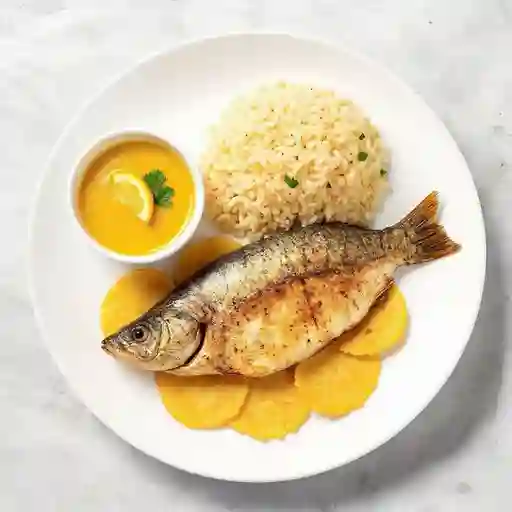 Filete de tilapia