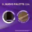 Palette Tinte Intensive Color Creme Permanente Rubio Cenizo 6-1