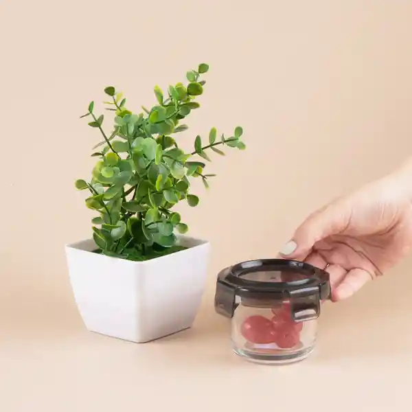 Recipiente Mini Para Alimentos Vidrio Serie Silver Grey Miniso