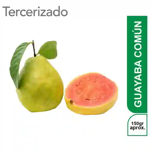 Guayaba Experiencia Colombiana Común