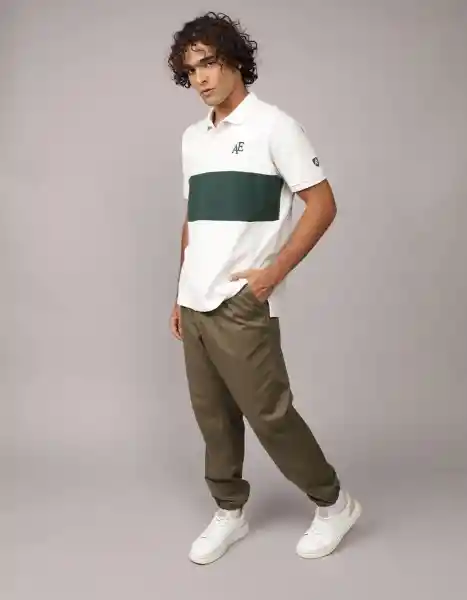 Polo Hombre Verde Talla Large 4570337 American Eagle