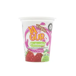 Yagur Yogurt Mora