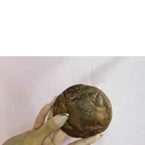 Galleta New York Brownie