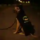 Accesorio Mascotas Sudadera Con Capucha Serie dc Batman Miniso