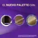 Tinte Palette Color Creme 8-1 Rubio Claro Cenizo