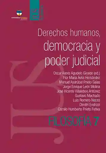 Derechos Humanos Democracia y Poder Judicial - VV. AA
