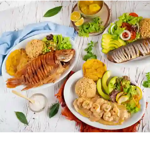 Pesca Del Día en Combo