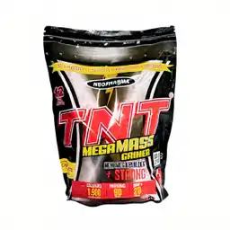 Tnt Mega Mass Polvo Gainer Vainilla