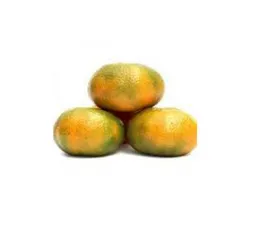 Mandarina