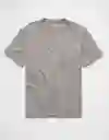 Camiseta Hombre Gris Talla: LARGE 4230020 American Eagle