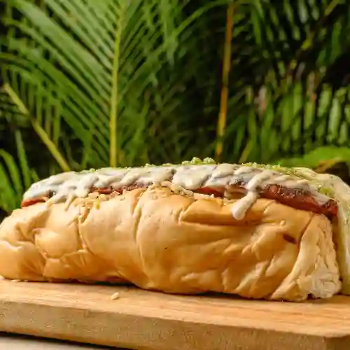 Perro Suizo Hawaiano Gino