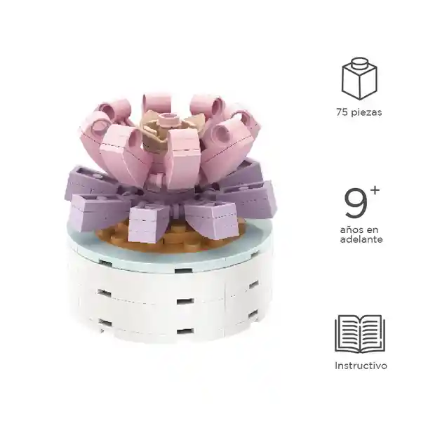 Set de Bloques Macetas Plantas Suculentas Miniso