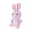 Peluche de Conejo Serie Mini Family Miniso