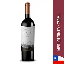 Castillo De Molina Vino Tinto Merlot Botella 750 ml