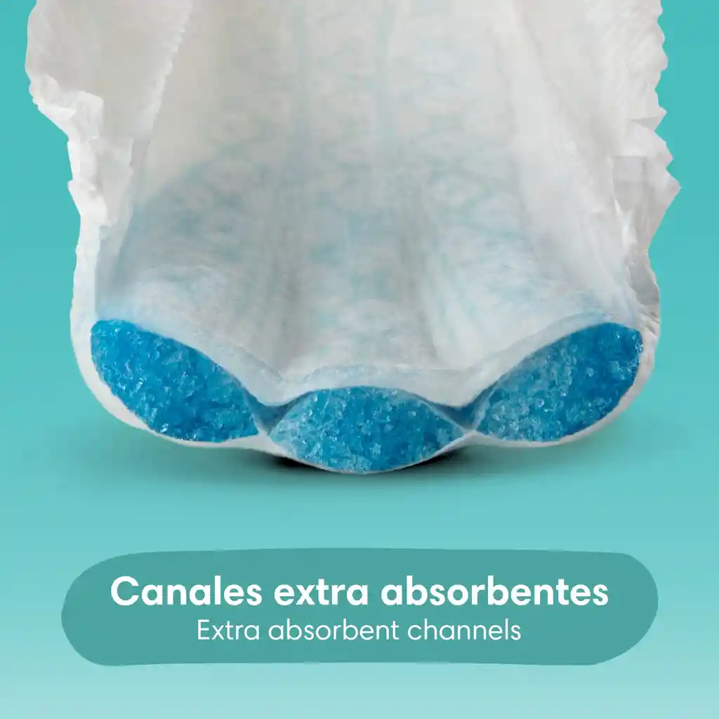 Pampers Pañales Baby-Dry Talla 7 x 88 Unidades
